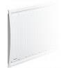 Radiateur electrique Fonte NOIROT - CALIDOU Smart ECOcontrol 1000W Horizontal N3013SEEZ