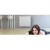 Radiateur electrique Fonte NOIROT - CALIDOU Smart ECOcontrol 1000W Horizontal N3013SEEZ