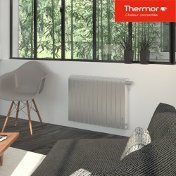 Radiateur électrique THERMOR MYTHIK 1000W Alu Satiné - 460131