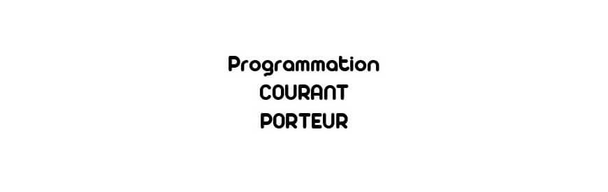 Courant Porteur