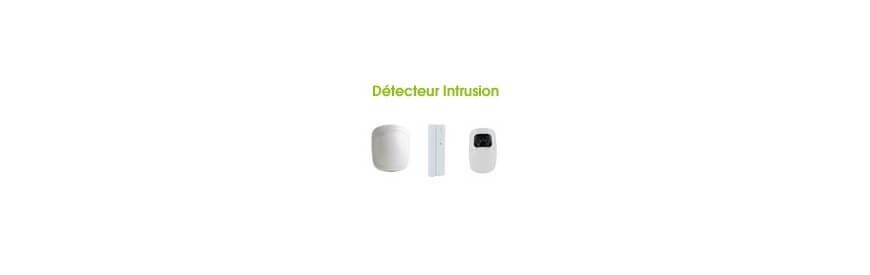 Détecteurs d'intrusion