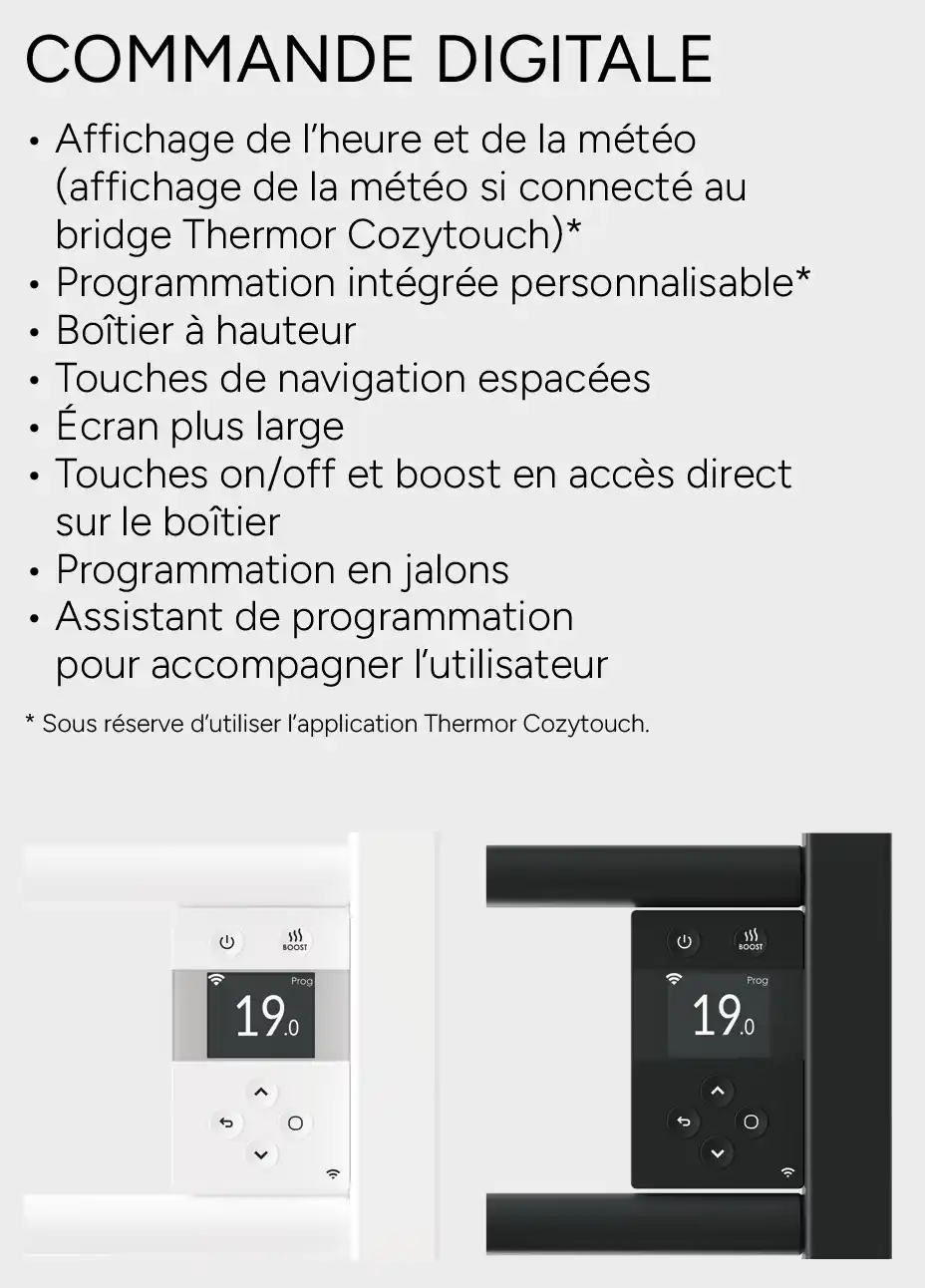 Thermor boitier de commande Riva 5